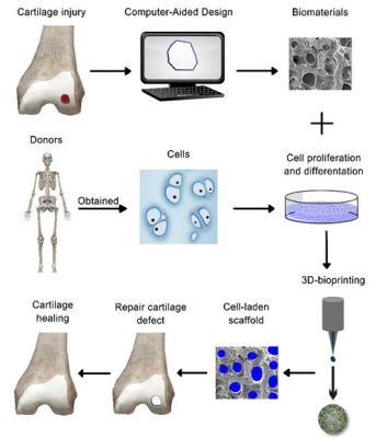  Fibrin: El secreto biocompatible para la regeneración tisular y scaffolds de última generación!