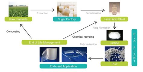  Lactic Acid: Una Maravilla Versátil para la Producción de Bioplásticos y Aditivos Alimentarios!