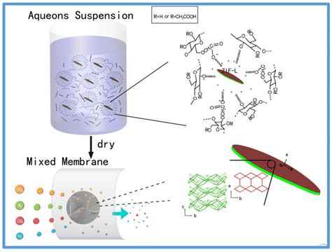  ¿ZIF-8: El Material Nanoporooso que Revolucionará la Separación de Gases?